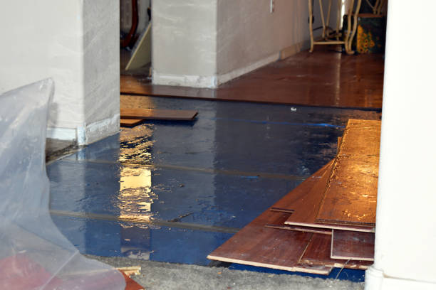 Professional Basement Flood Cleanup technician working in Glen Cove, NY